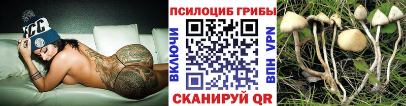 Галлюциногенные грибы мухоморы  hydra ТОР  Лахденпохья 